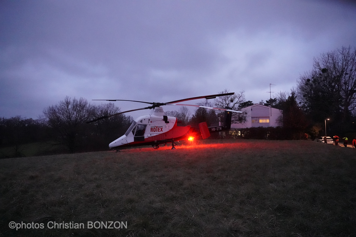 Entretien Forestier Geneva16 janvier 2025Photos ©Christian BONZON