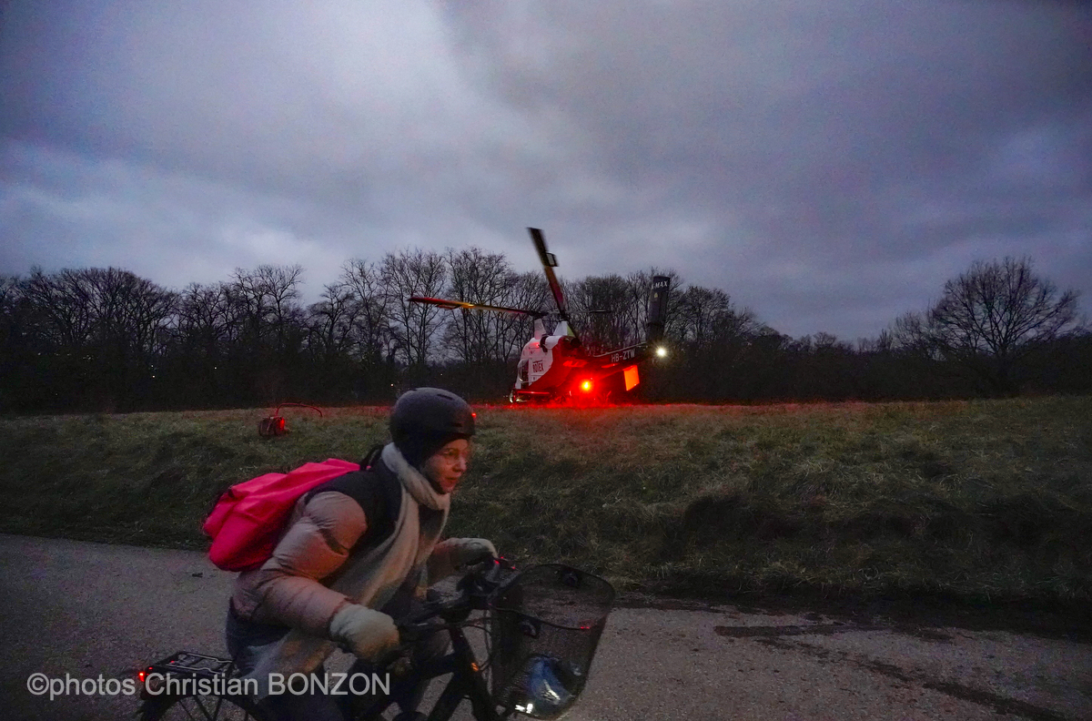 Entretien Forestier Geneva16 janvier 2025Photos ©Christian BONZON