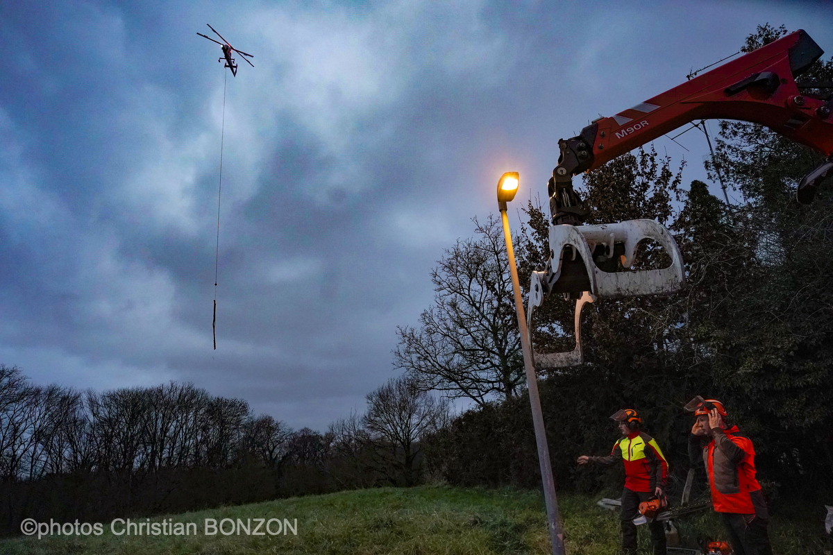 Entretien Forestier Geneva16 janvier 2025Photos ©Christian BONZON