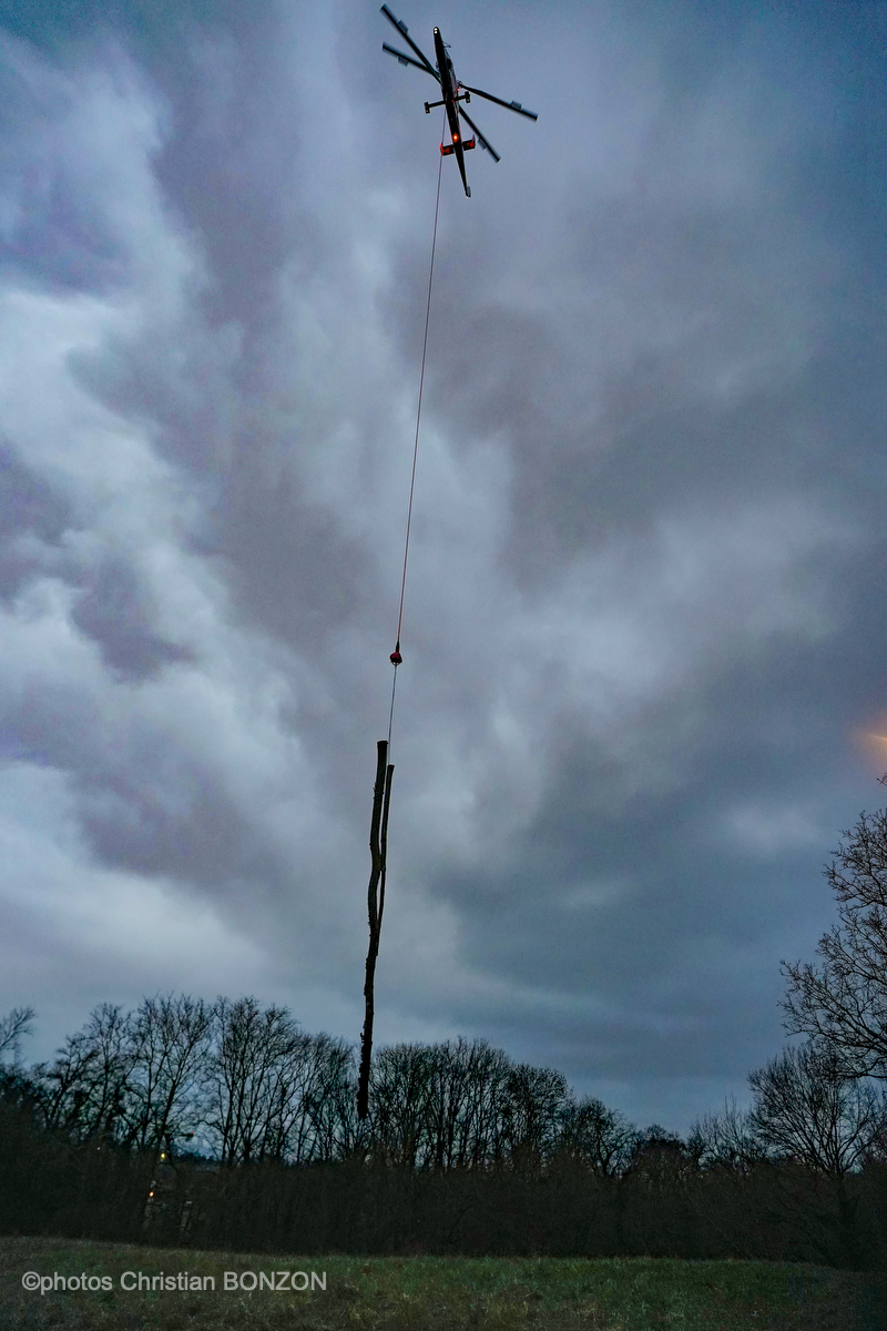 Entretien Forestier Geneva16 janvier 2025Photos ©Christian BONZON