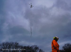 Entretien Forestier Geneva16 janvier 2025Photos ©Christian BONZON