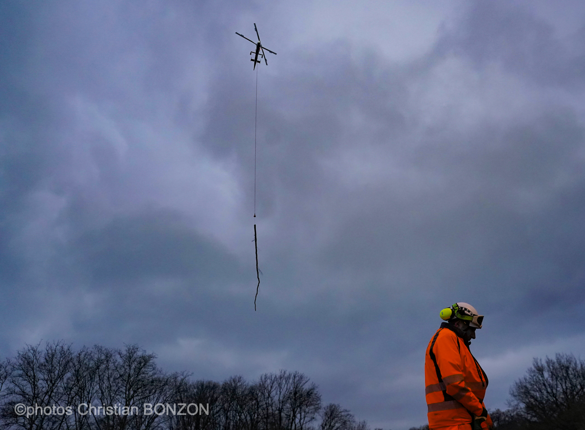 Entretien Forestier Geneva16 janvier 2025Photos ©Christian BONZON
