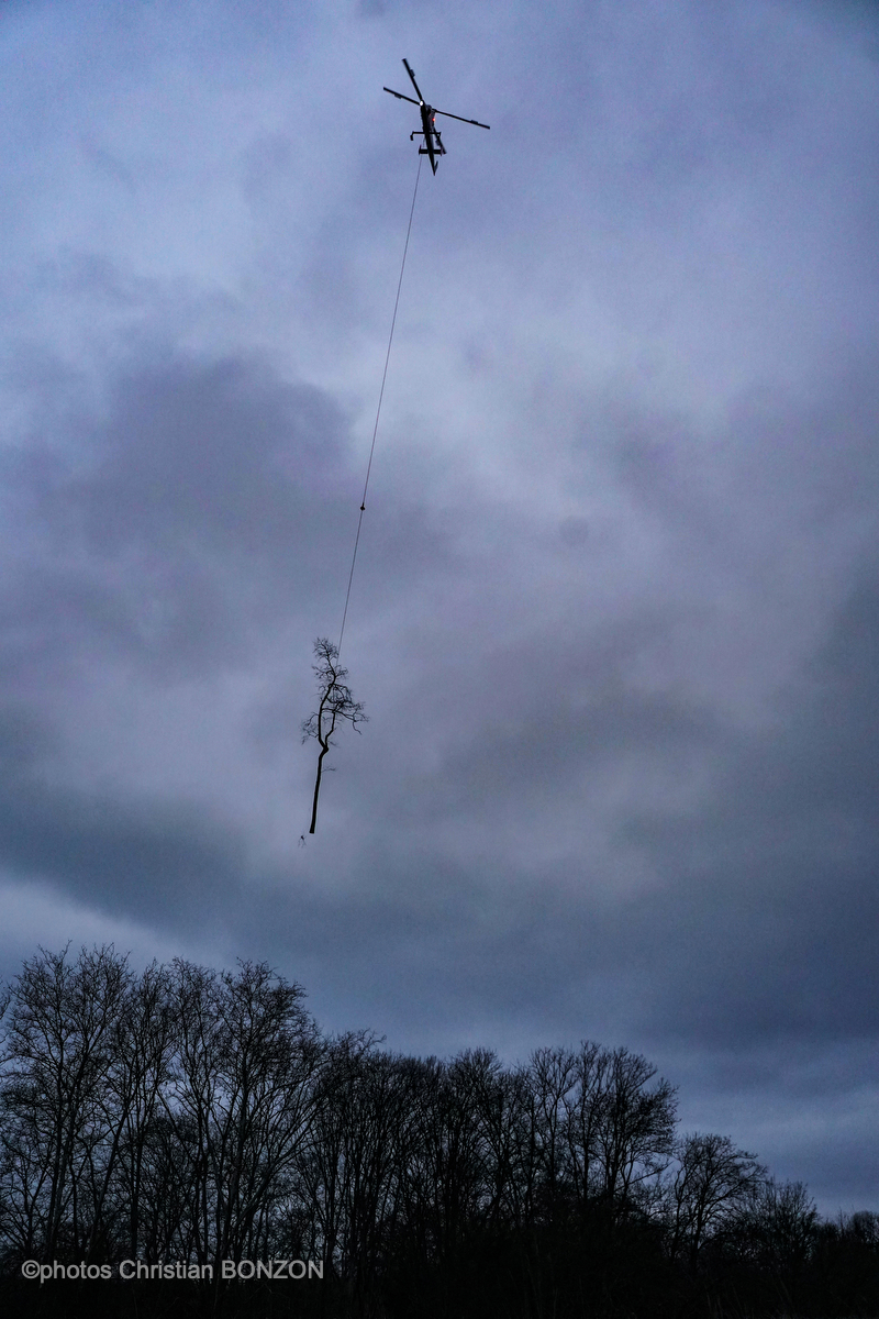 Entretien Forestier Geneva16 janvier 2025Photos ©Christian BONZON