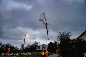 Entretien Forestier Geneva16 janvier 2025Photos ©Christian BONZON