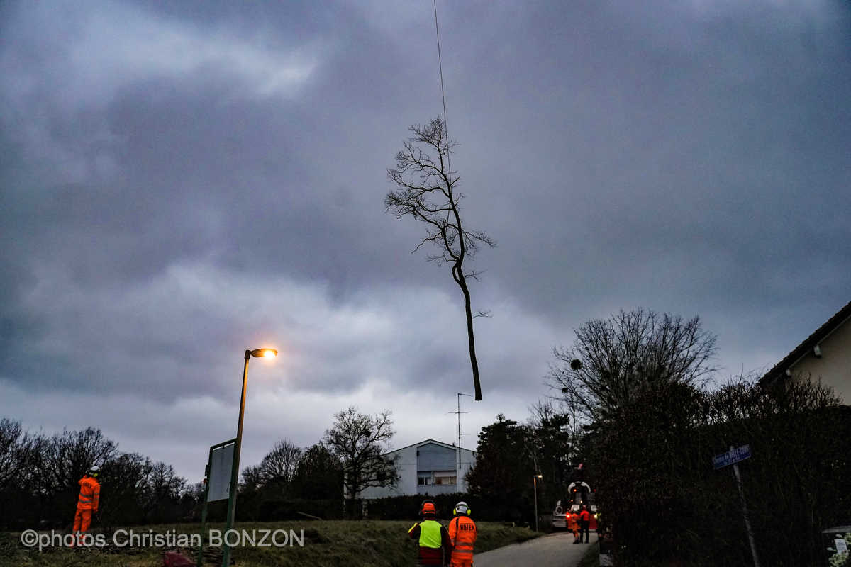 Entretien Forestier Geneva16 janvier 2025Photos ©Christian BONZON