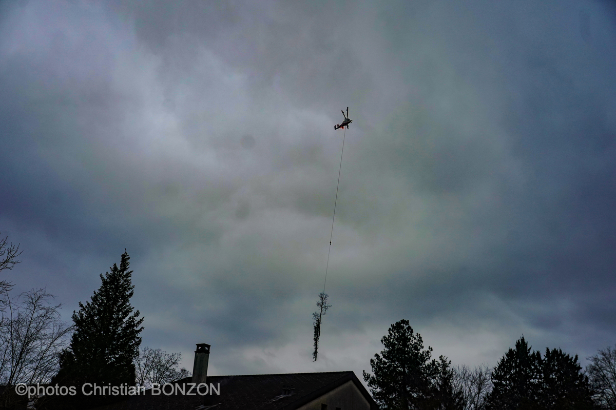 Entretien Forestier Geneva16 janvier 2025Photos ©Christian BONZON