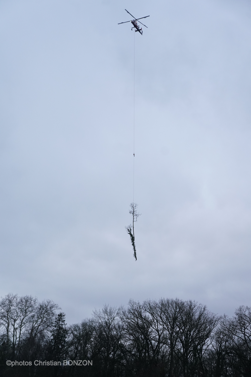 Entretien Forestier Geneva16 janvier 2025Photos ©Christian BONZON