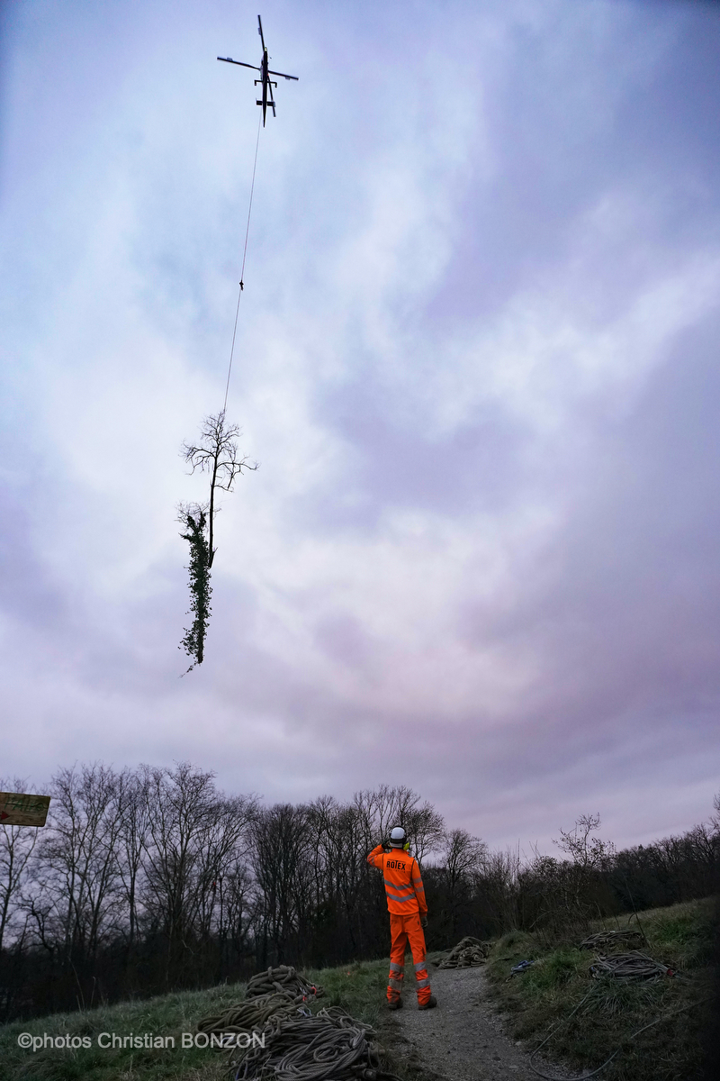 Entretien Forestier Geneva16 janvier 2025Photos ©Christian BONZON