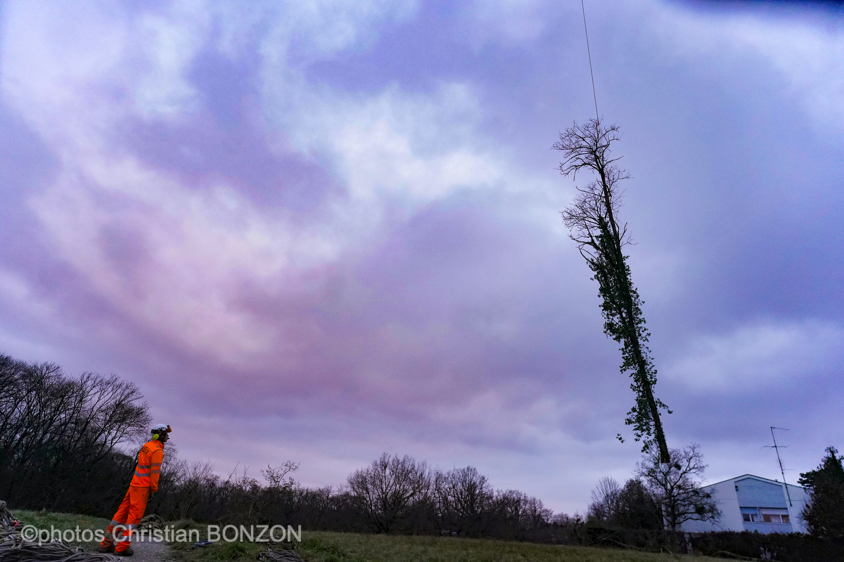 Entretien Forestier Geneva16 janvier 2025Photos ©Christian BONZON