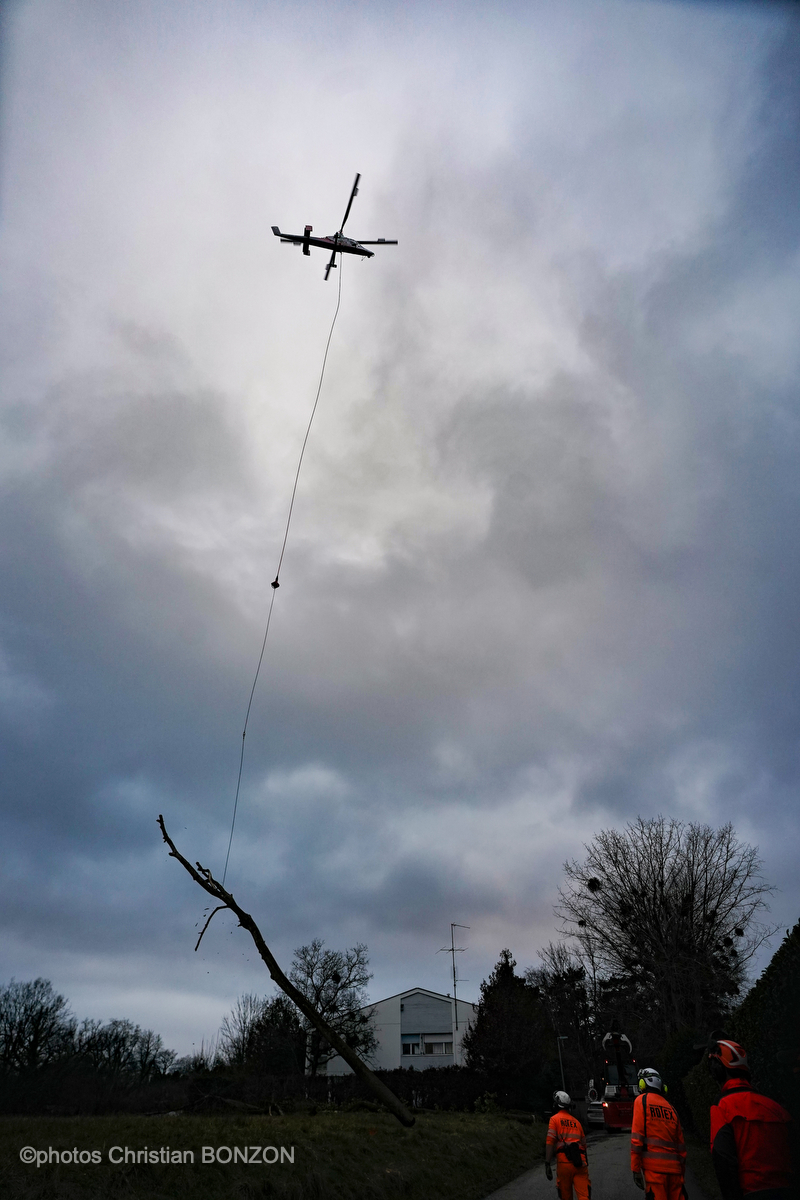 Entretien Forestier Geneva16 janvier 2025Photos ©Christian BONZON