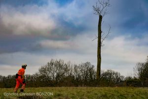 Entretien Forestier Geneva16 janvier 2025Photos ©Christian BONZON