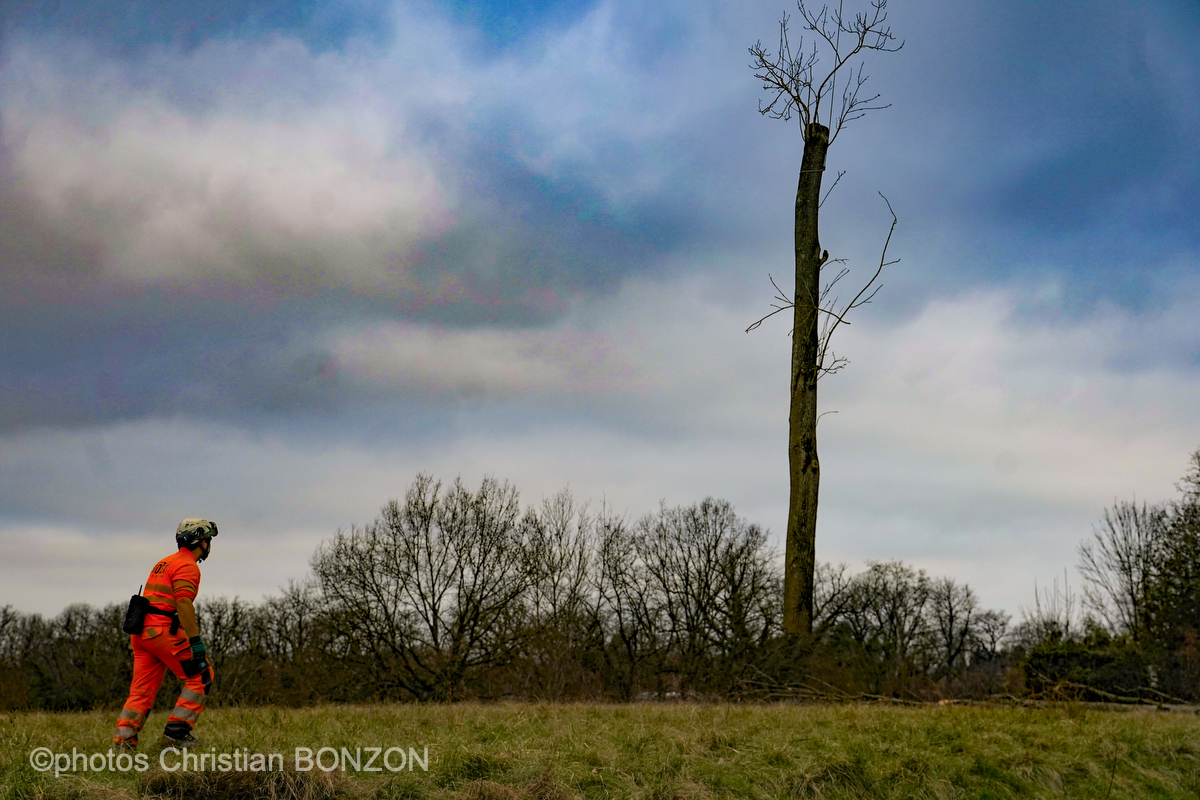 Entretien Forestier Geneva16 janvier 2025Photos ©Christian BONZON