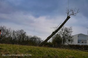 Entretien Forestier Geneva16 janvier 2025Photos ©Christian BONZON