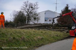 Entretien Forestier Geneva16 janvier 2025Photos ©Christian BONZON