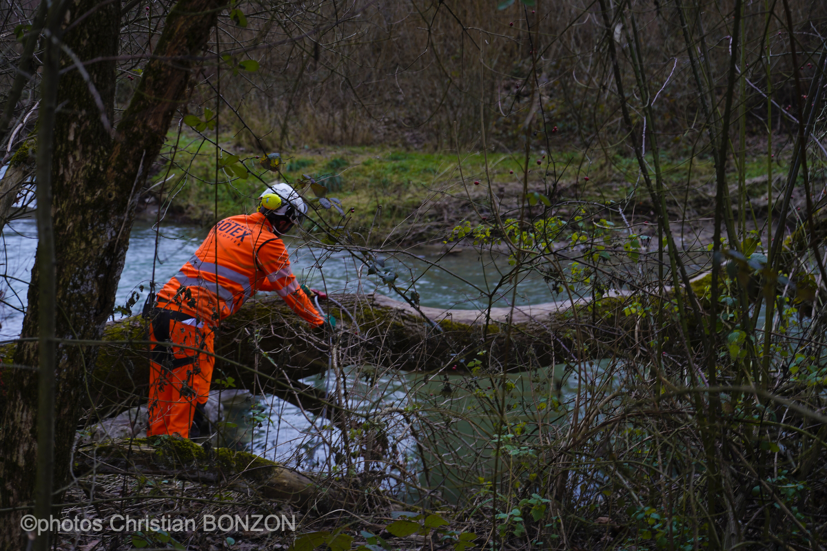 Entretien Forestier Geneva16 janvier 2025Photos ©Christian BONZON