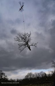 Entretien Forestier Geneva16 janvier 2025Photos ©Christian BONZON
