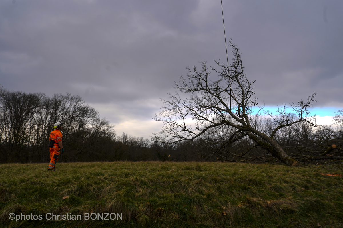 Entretien Forestier Geneva16 janvier 2025Photos ©Christian BONZON