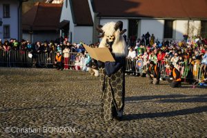 _DSC0814