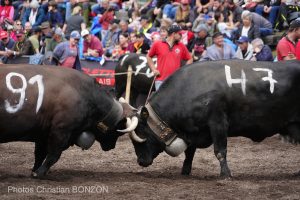 _DSC0925