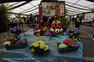 Festichoc Versoix le 5 avril 2025©photos Christian BONZON