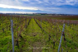 Mondial de la Fondue le 15 Novembre 2025
