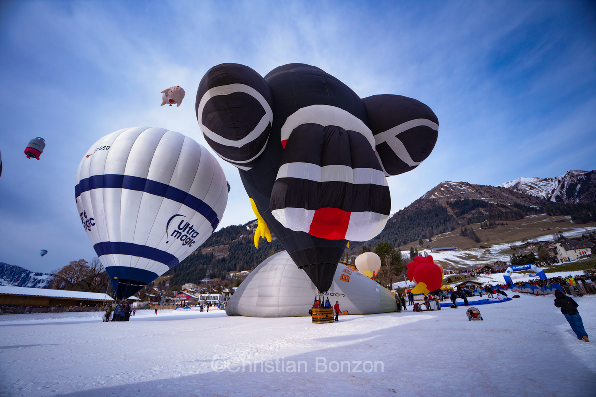 a 46? dition du Festival International de Ballons Chteau-dÕÎx
