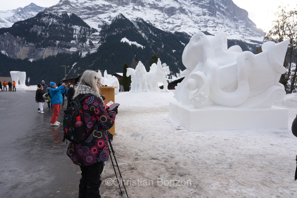 World Snow Festival