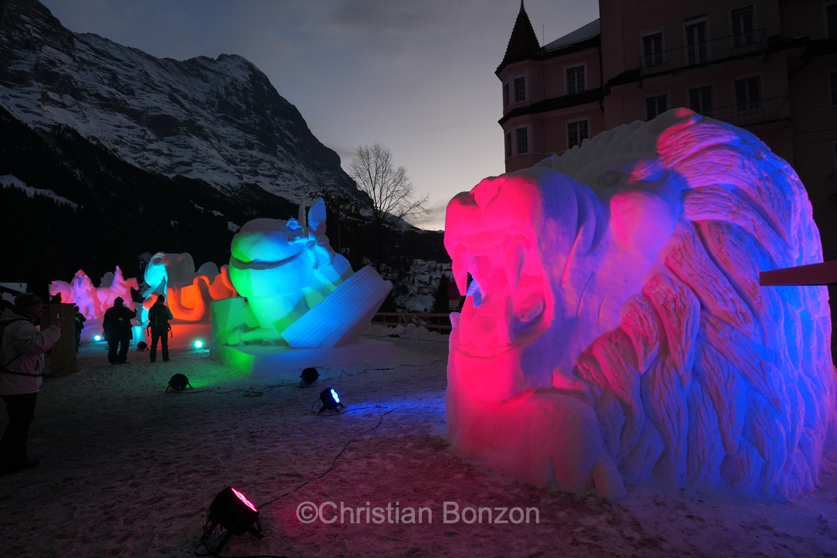 World Snow Festival