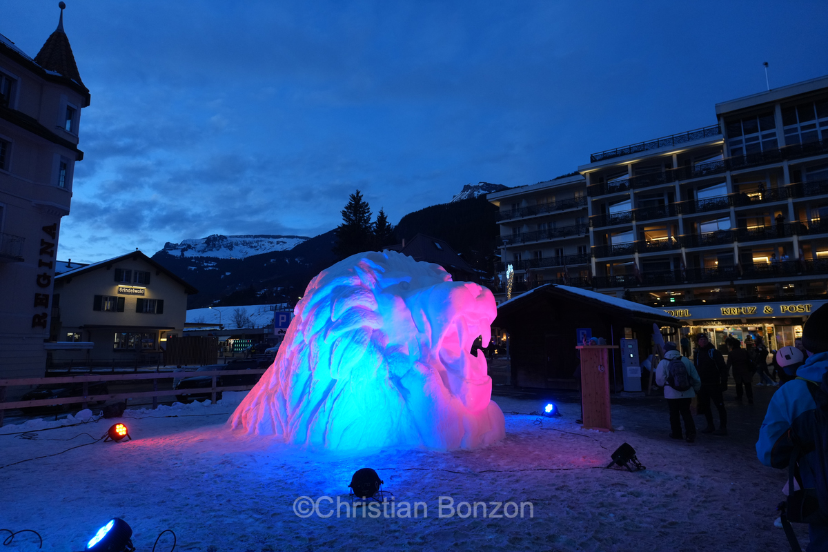 World Snow Festival