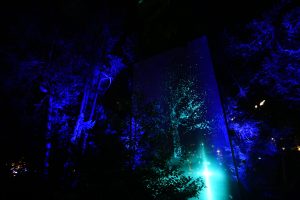 Geneva Lux 2026. ve sÕimposent face  Massagno au Pommier