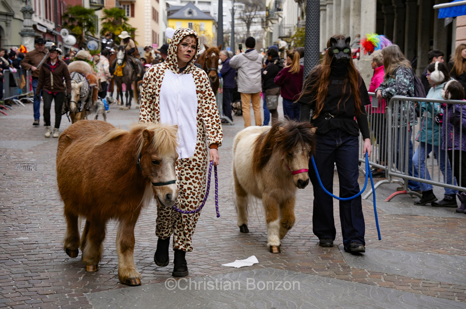 Carnaval de Sion dimanche 15 fvrier 2026