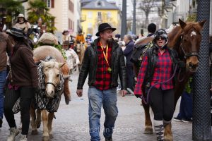 Carnaval de Sion dimanche 15 fvrier 2026
