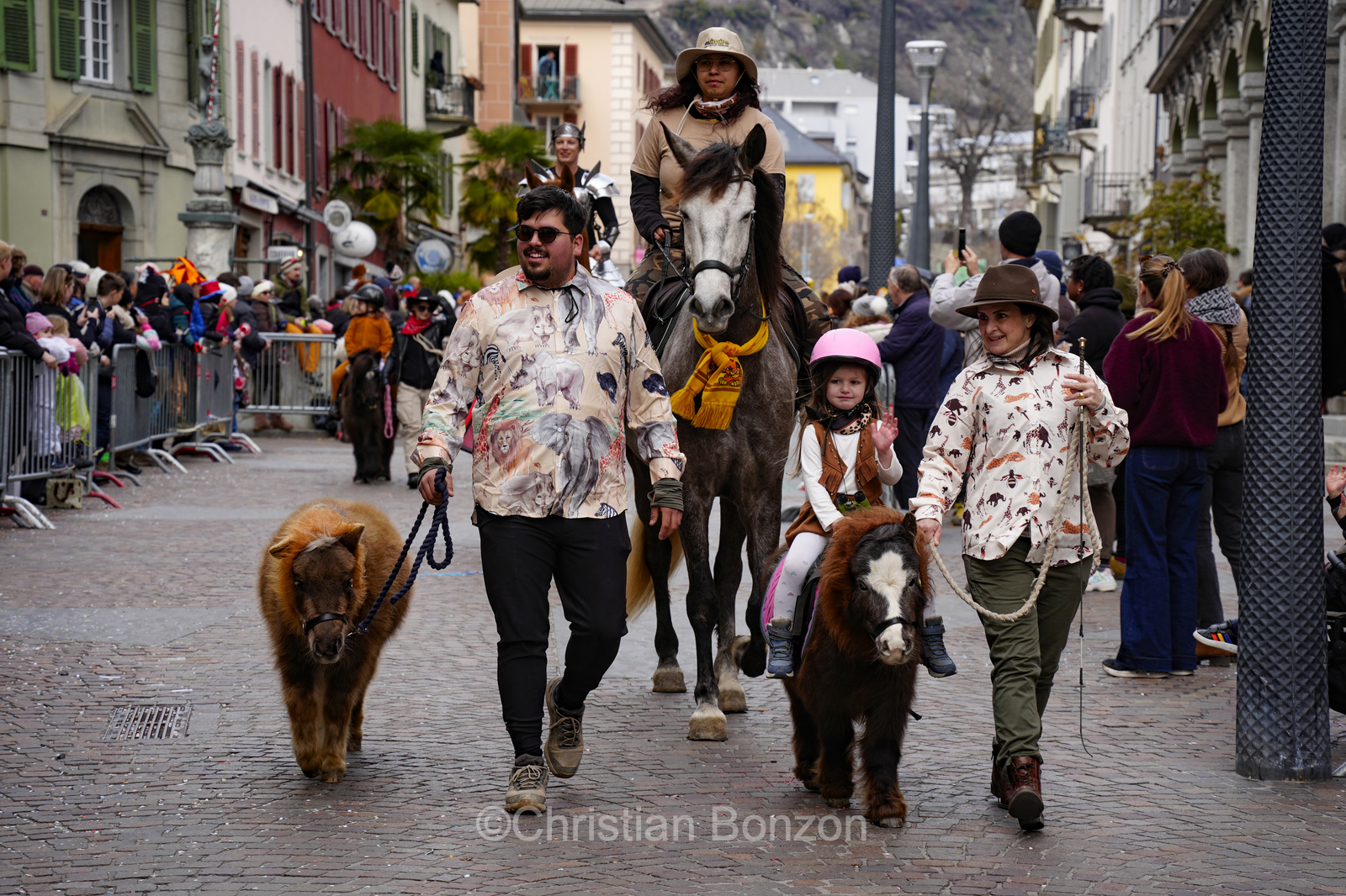 Carnaval de Sion dimanche 15 fvrier 2026