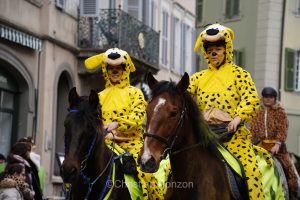 Carnaval de Sion dimanche 15 fvrier 2026
