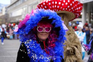 Carnaval de Sion dimanche 15 fvrier 2026