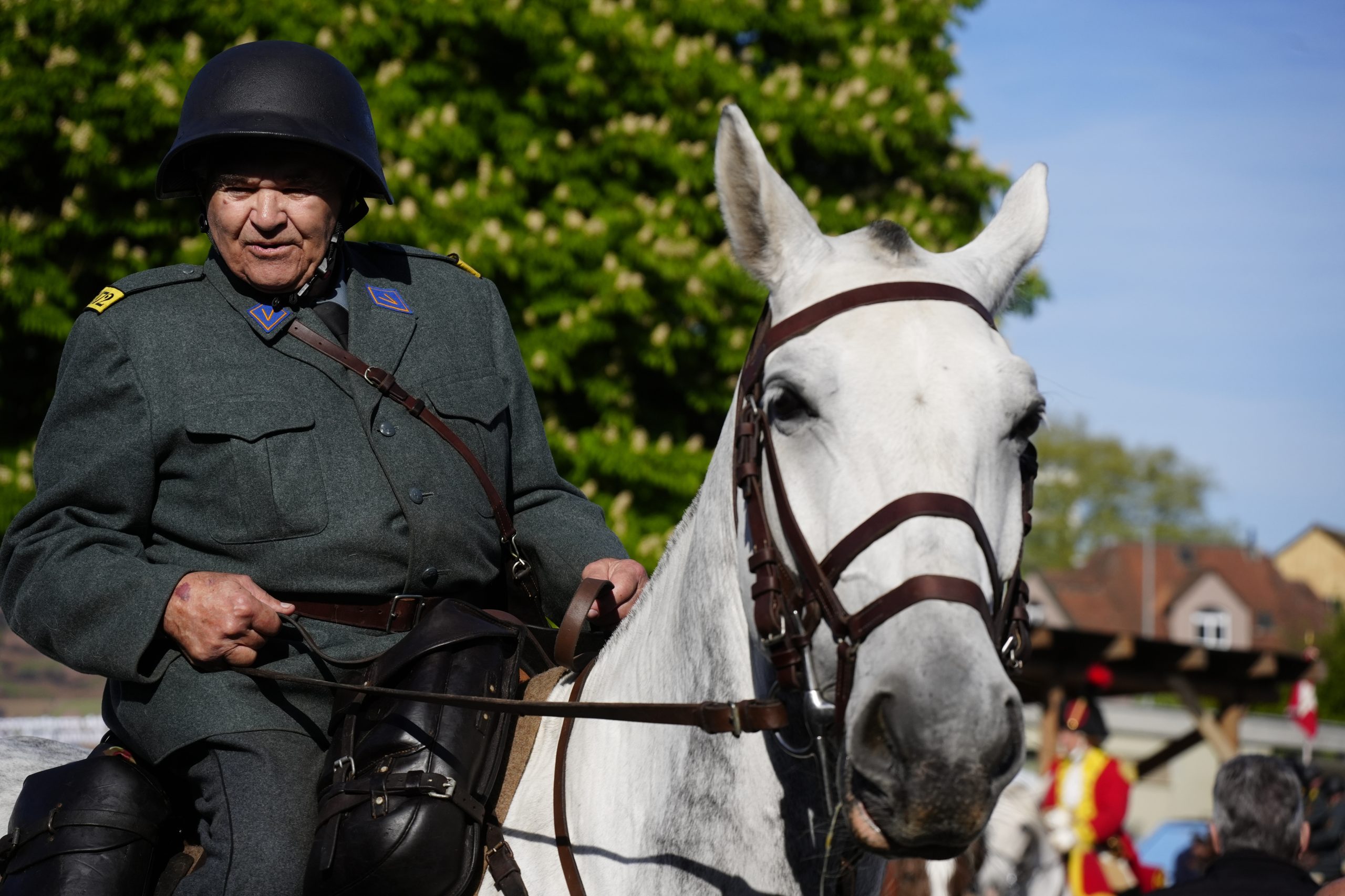 wiss Press Award 2026