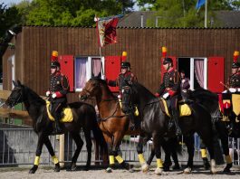L’Escadron de Cavalerie suisse 1972 (SKS 1972) reprend vie.