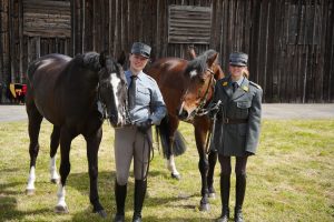 wiss Press Award 2026