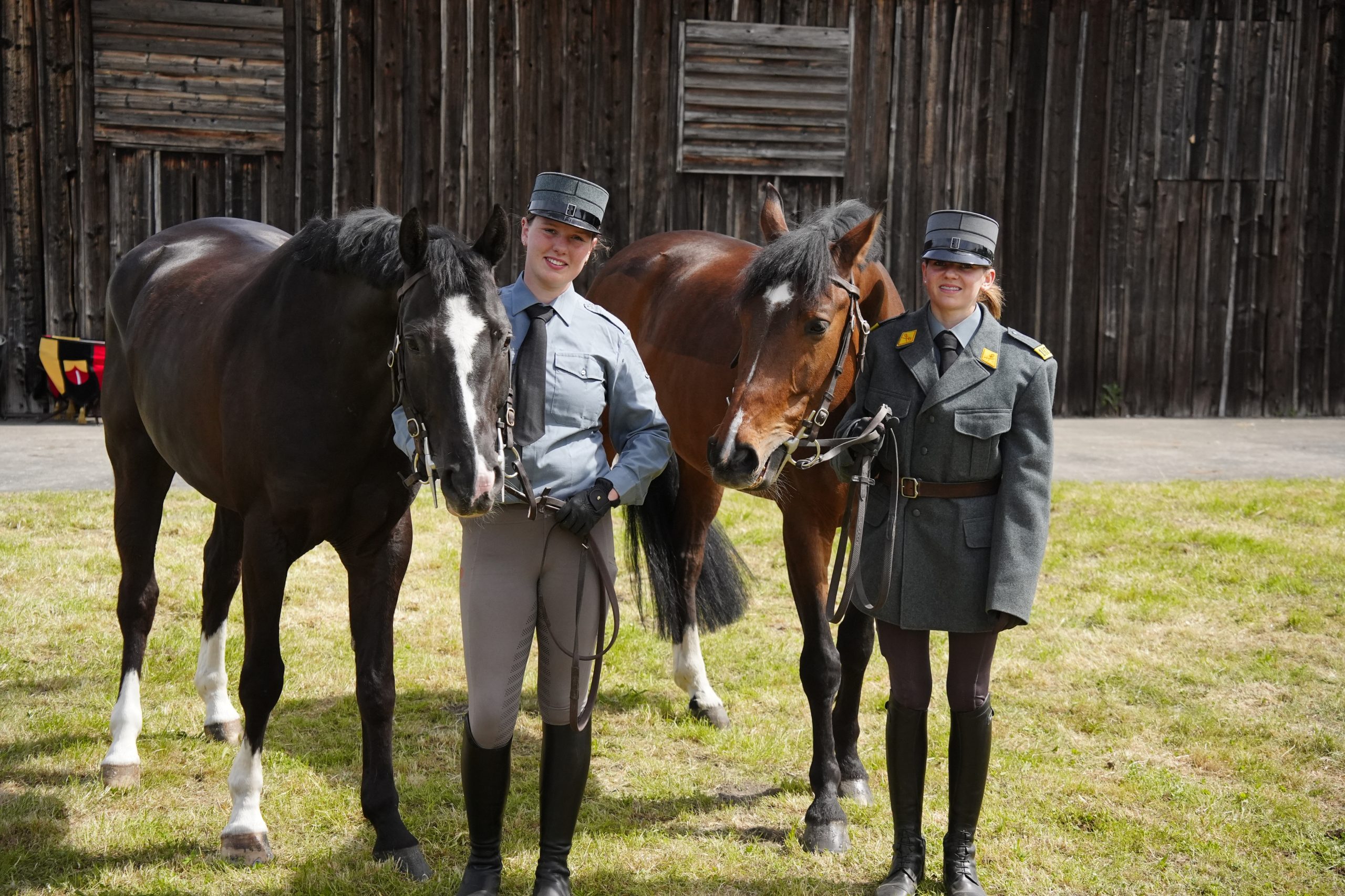 wiss Press Award 2026