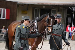 wiss Press Award 2026