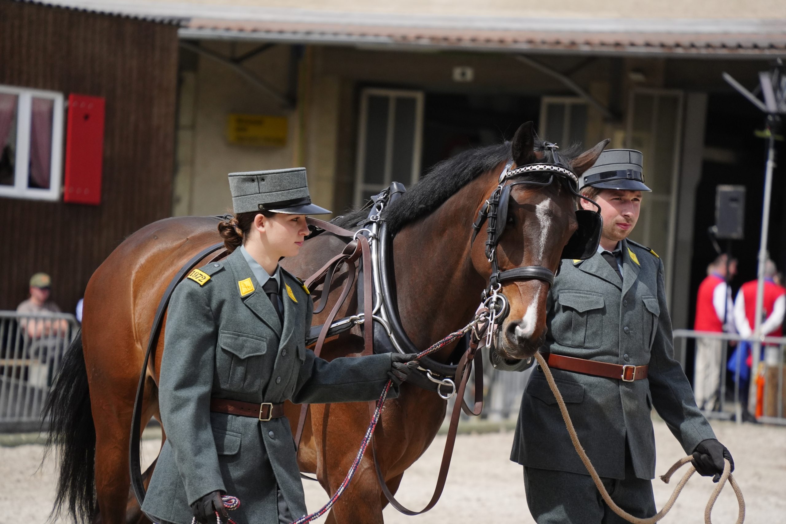 wiss Press Award 2026