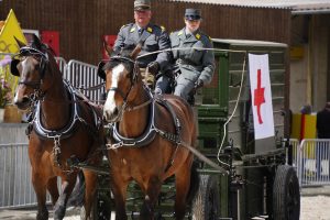 wiss Press Award 2026