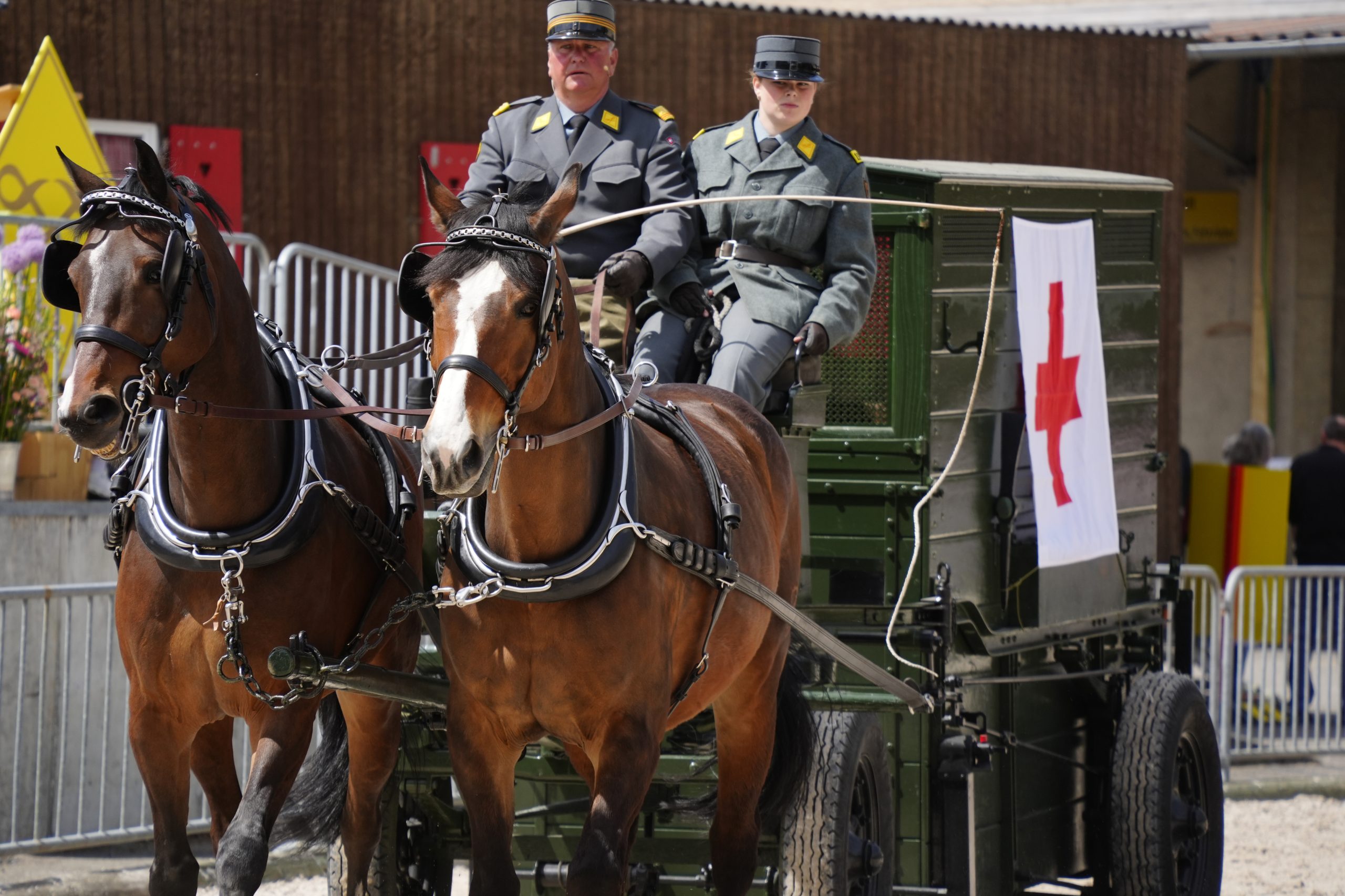 wiss Press Award 2026