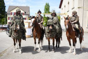 wiss Press Award 2026