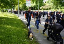 Genève célèbre les 75 ans de l’OMS en marchant ensemble
