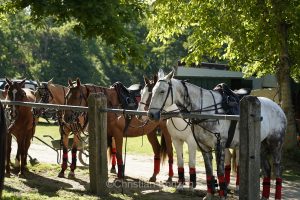 Meghan, duchessGeneva Polo Club e de Sussex, change avec des enfants et leurs parents lors de lÕiÇ Walk the Talk Ð The Health for All Challenge È  lÕoccasion des 75 ans de lÕOMS. nauguration du Ç Lost Screen Memorial È, une installation rendant hommage aux jeunes victimes des violences en ligne