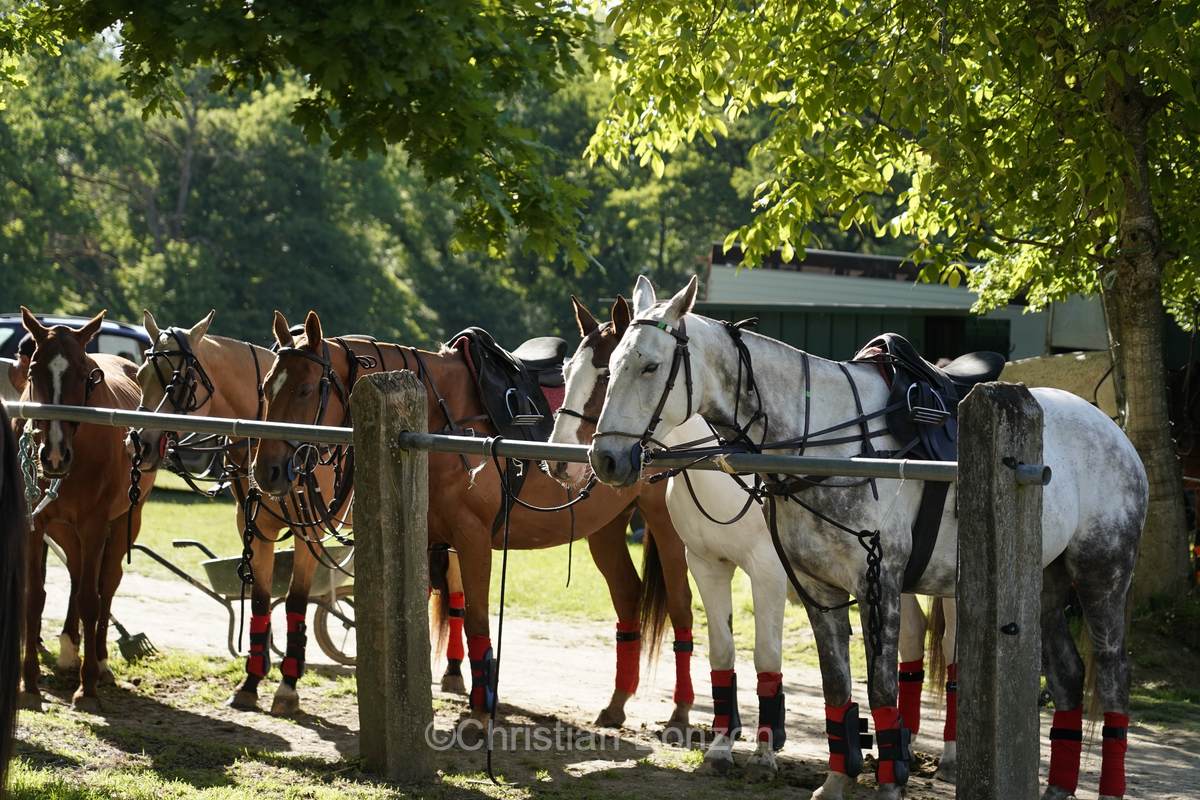 Meghan, duchessGeneva Polo Club e de Sussex, change avec des enfants et leurs parents lors de lÕiÇ Walk the Talk Ð The Health for All Challenge È  lÕoccasion des 75 ans de lÕOMS. nauguration du Ç Lost Screen Memorial È, une installation rendant hommage aux jeunes victimes des violences en ligne