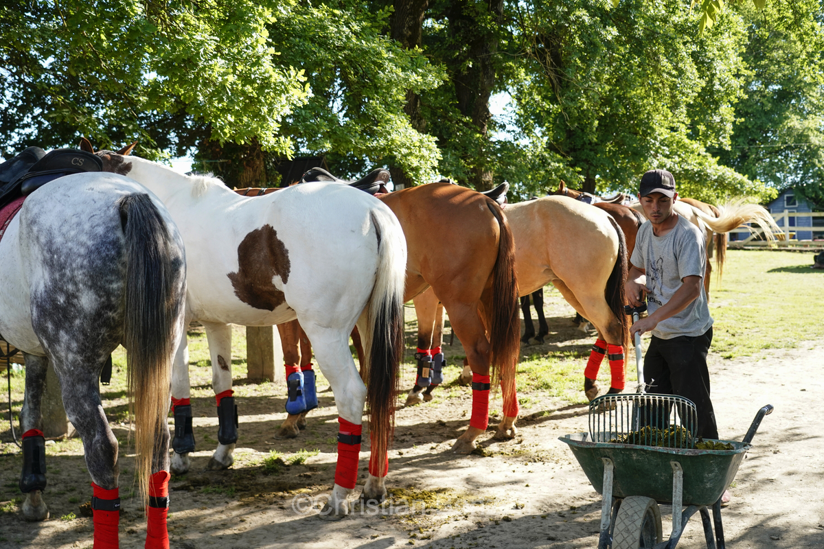Meghan, duchessGeneva Polo Club e de Sussex, change avec des enfants et leurs parents lors de lÕiÇ Walk the Talk Ð The Health for All Challenge È  lÕoccasion des 75 ans de lÕOMS. nauguration du Ç Lost Screen Memorial È, une installation rendant hommage aux jeunes victimes des violences en ligne