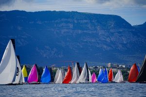 _DSC8913