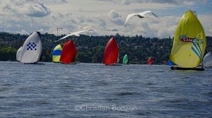 _DSC9731